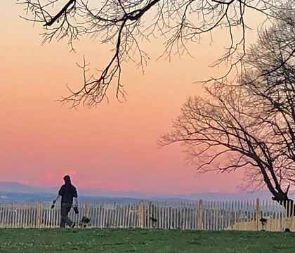 ferme_coucher_de_soleil.jpg