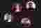 visuel_portraits_videos_ambassadeur_une_du_site.jpg